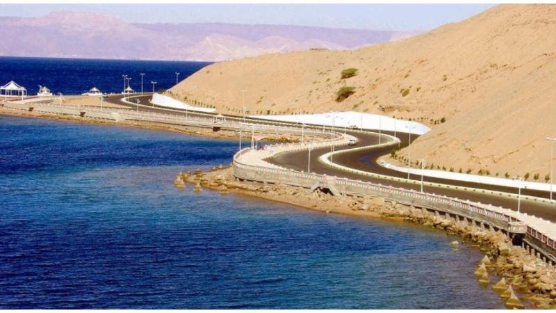 الناقل الوطني - الصافي نيوز