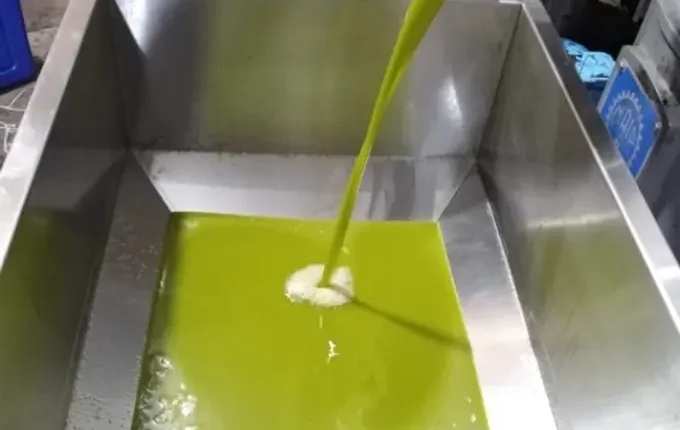 زيادة ملحوظة في انتاج زيت الزيتون