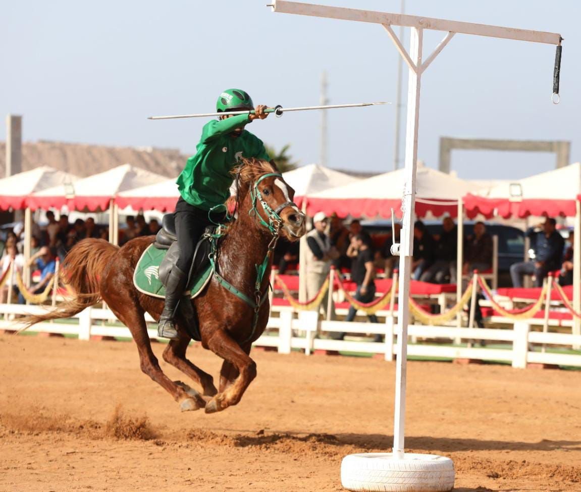 أوتاد 1 - الصافي نيوز